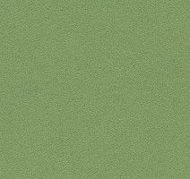 Линолеум Forbo Marmoleum Bulletin Board 2213 baby lettuce фото 1 | FLOORDEALER